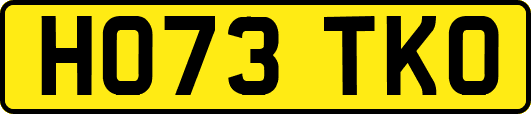 HO73TKO
