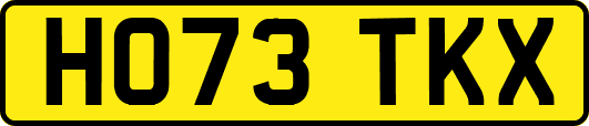 HO73TKX