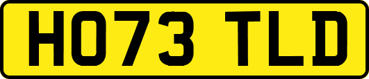 HO73TLD