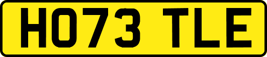 HO73TLE