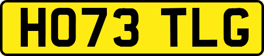 HO73TLG