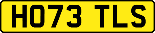 HO73TLS