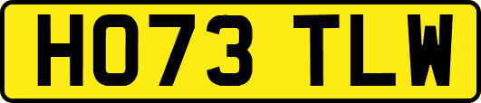 HO73TLW