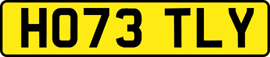 HO73TLY