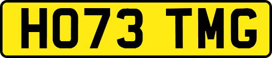 HO73TMG