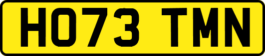 HO73TMN
