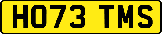 HO73TMS