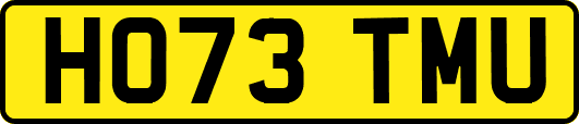 HO73TMU