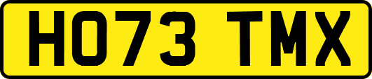 HO73TMX