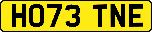 HO73TNE