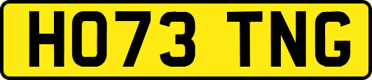 HO73TNG
