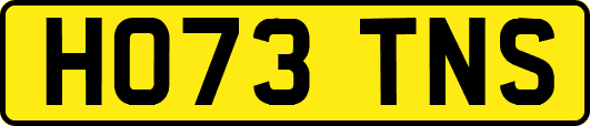HO73TNS