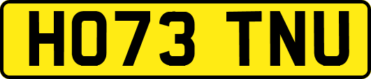 HO73TNU