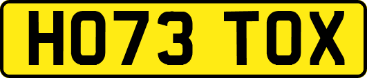 HO73TOX