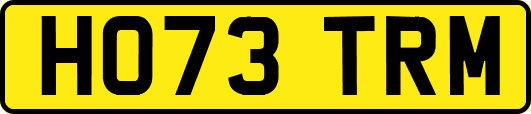 HO73TRM