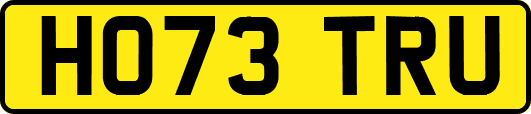 HO73TRU
