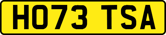 HO73TSA
