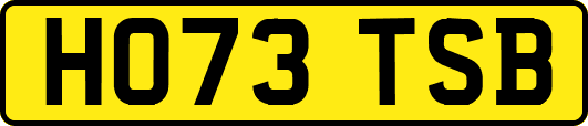 HO73TSB