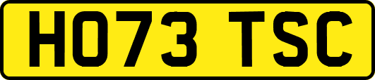 HO73TSC