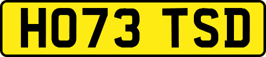 HO73TSD