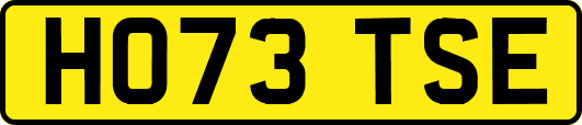 HO73TSE