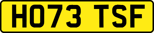 HO73TSF
