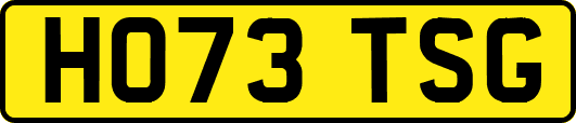 HO73TSG