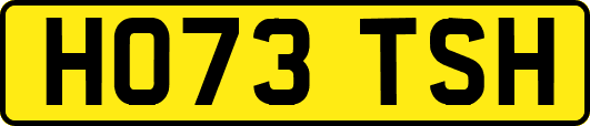 HO73TSH