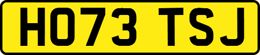 HO73TSJ