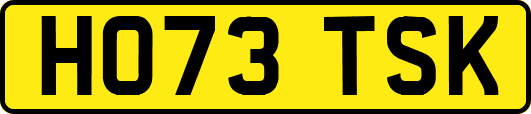 HO73TSK