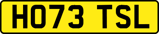 HO73TSL
