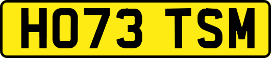 HO73TSM