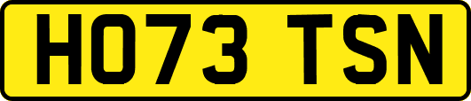 HO73TSN