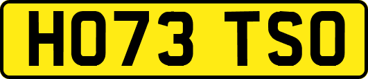 HO73TSO