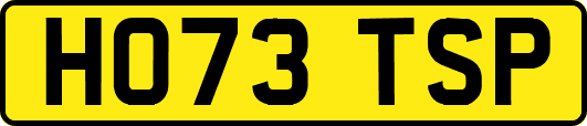 HO73TSP
