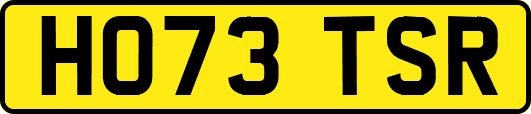HO73TSR