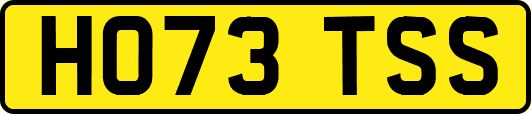 HO73TSS