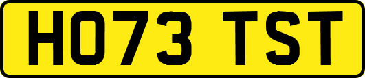 HO73TST