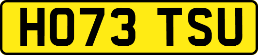 HO73TSU
