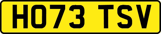 HO73TSV