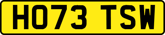 HO73TSW