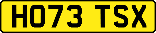 HO73TSX