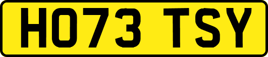 HO73TSY