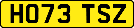 HO73TSZ