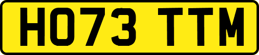 HO73TTM