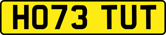 HO73TUT