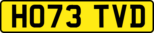 HO73TVD
