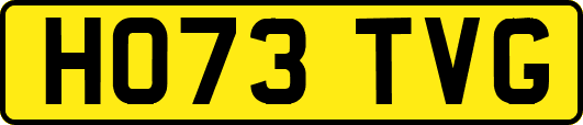 HO73TVG