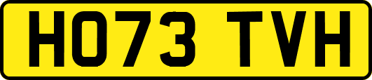 HO73TVH