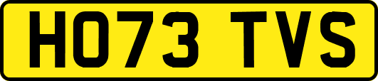 HO73TVS